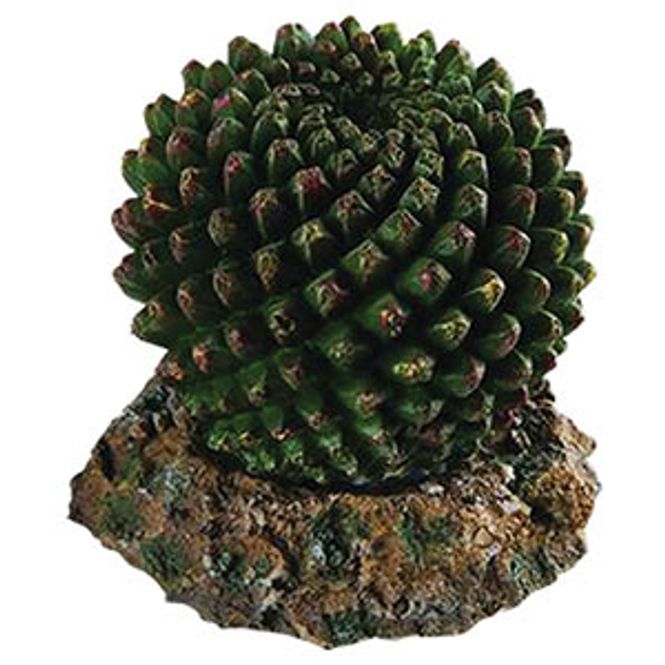 Hovedbilde Cactus with Rock Base S