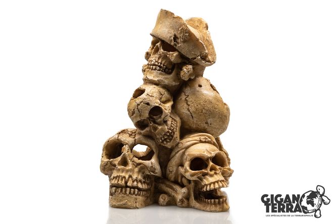 Hovedbilde Montagne de skull human 25x21x27,7cm