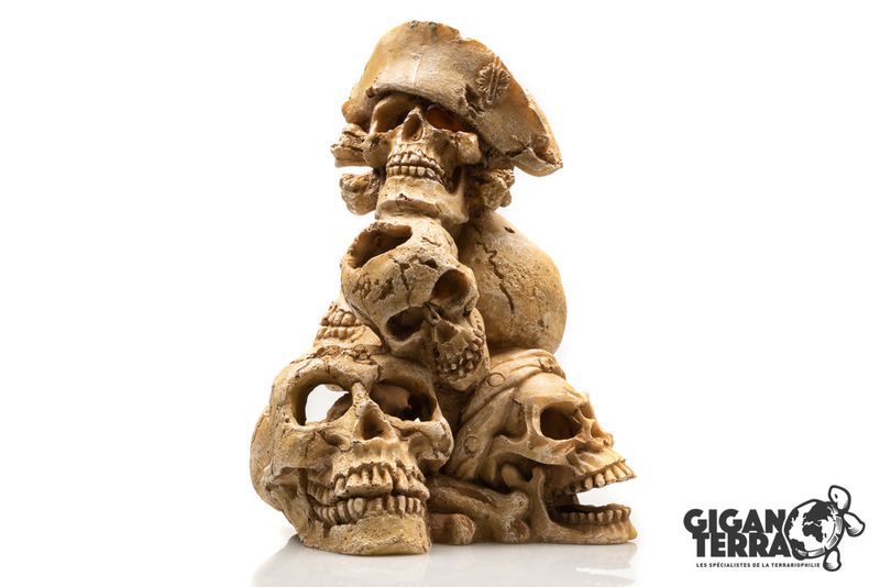 Montagne de skull human 25x21x27,7cm