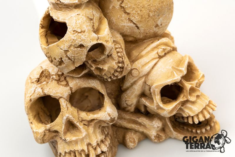 Montagne de skull human 25x21x27,7cm
