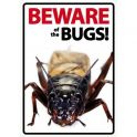 Hovedbilde BEWARE BUGS
