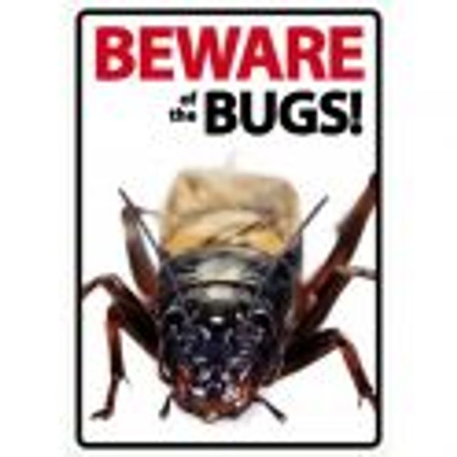 Hovedbilde BEWARE BUGS