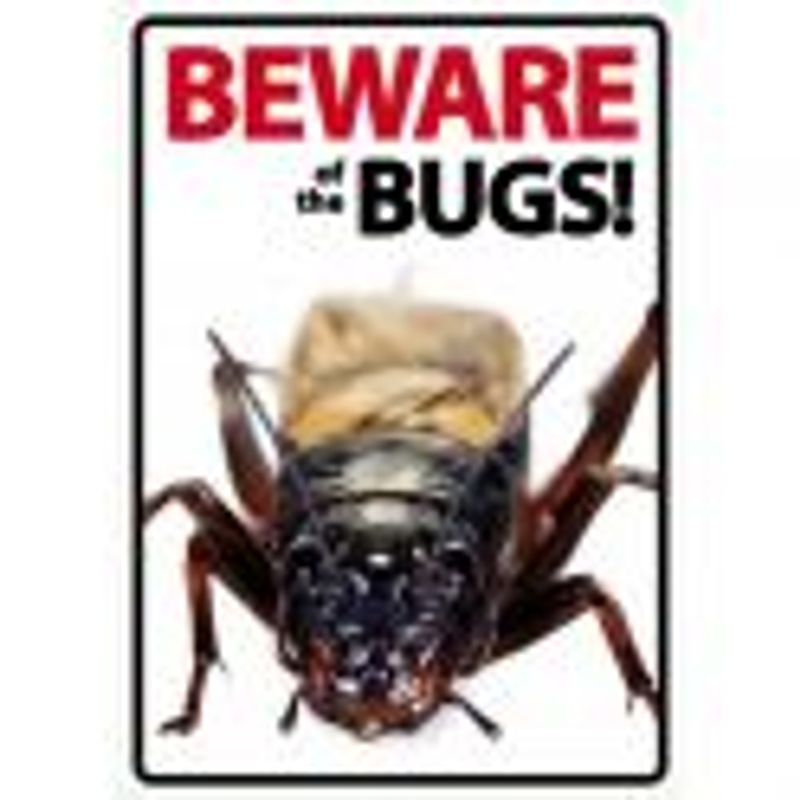 BEWARE BUGS