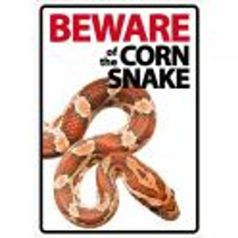 BEWARE KORNSNOK