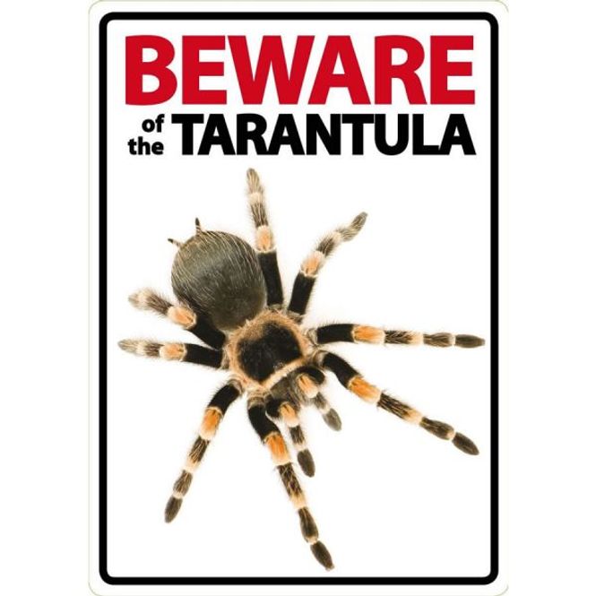 Hovedbilde BEWARE TARANTULA