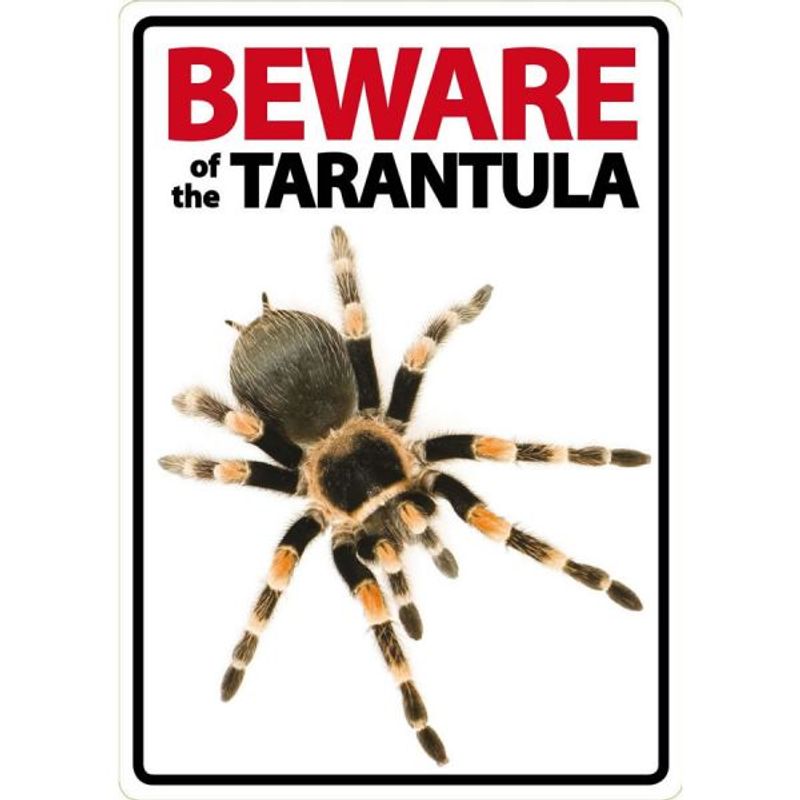 BEWARE TARANTULA