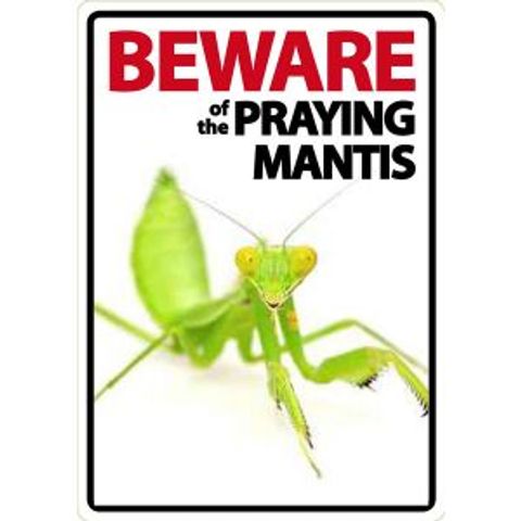 Hovedbilde Beware Kneler