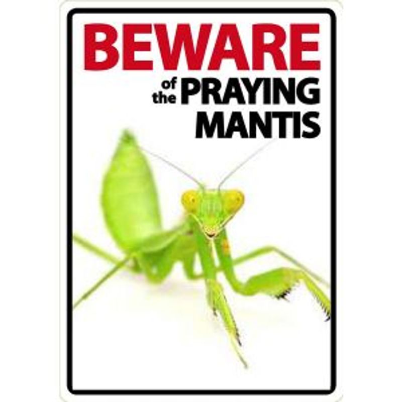 Beware Kneler
