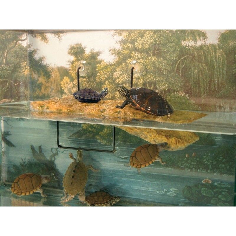 Zoomed Turtle Dock Large