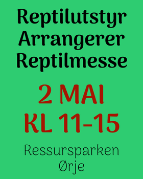 Hovedbilde MESSE 2 mai / diverse info