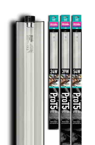 Hovedbilde Arcadia Pro T5 uvb kit 6% 24w