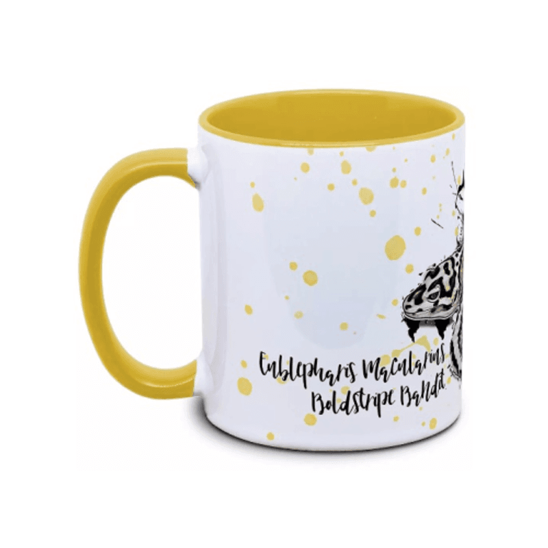 KAFFEKOPP LEOPARDGEKKO BOLDSTRIPE BANDIT / EUBLEPHARIS MACULARIU