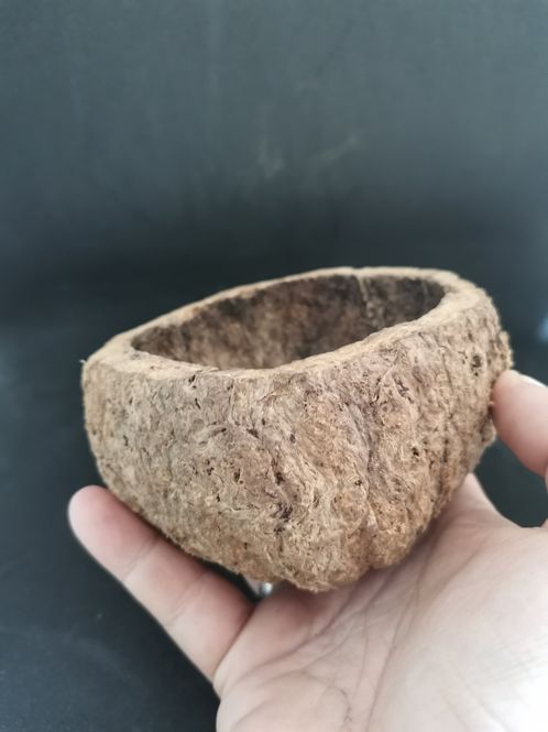 Hovedbilde Paranøtt skall 8-10 cm