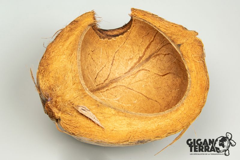 kokosnøtt hule 22x18x10cm