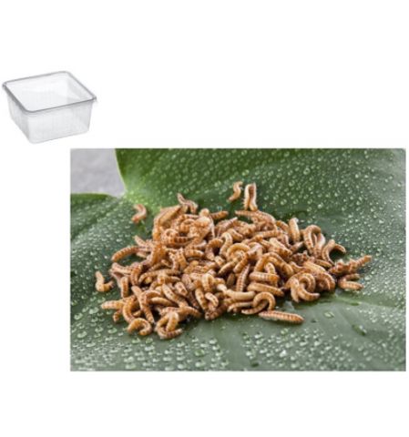 Hovedbilde Buffalo orm 50g