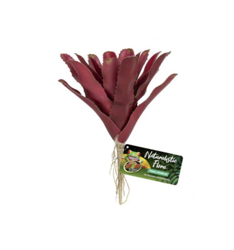 Zoomed Fireball Bromelia