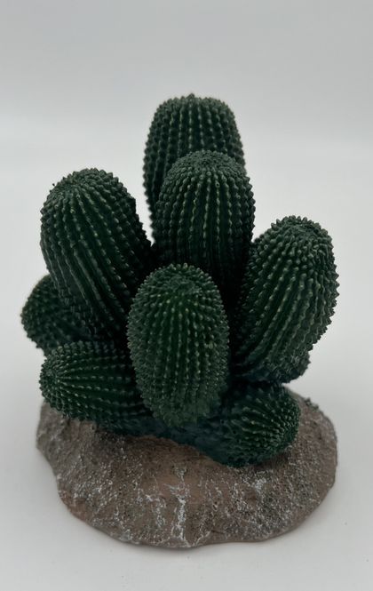 Hovedbilde P2W cactus-13   12x12x13cm