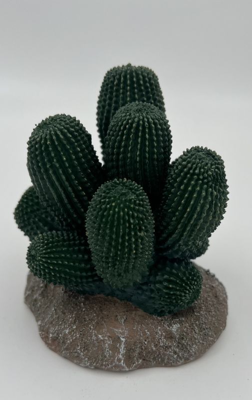 P2W cactus-13   12x12x13cm