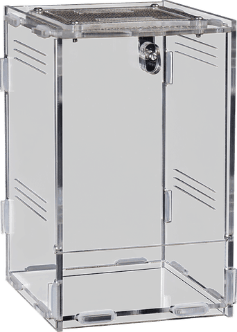 Hovedbilde Repto terra clear 11,5x10x16,5cm