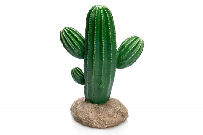 Hovedbilde Cactus  17x13x24,5cm