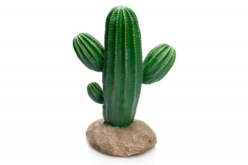 Cactus  17x13x24,5cm