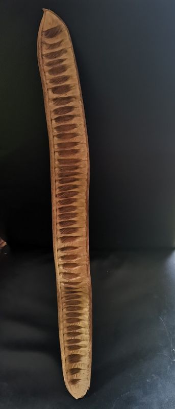 Step fruit 30-40 cm 5pk
