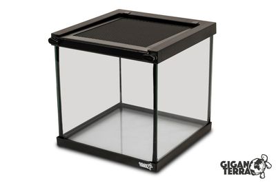 Hovedbilde Gigavial S 20x20x20cm