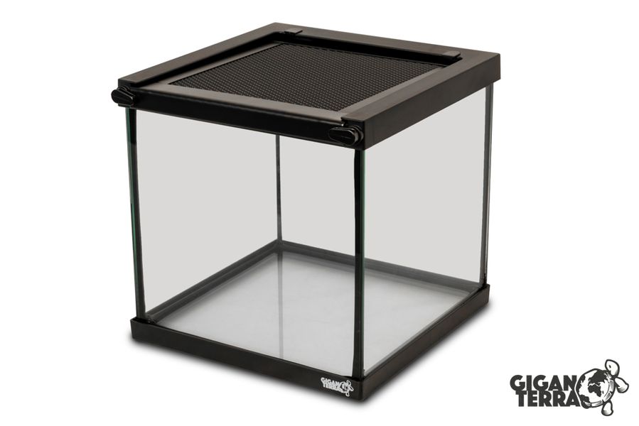 Gigavial S 20x20x20cm