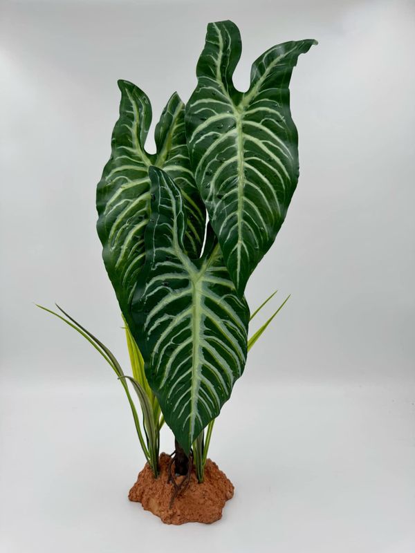 Gigan plante 844 30x16x48cm