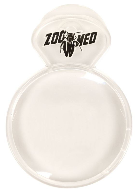 Zoomed view magnifier
