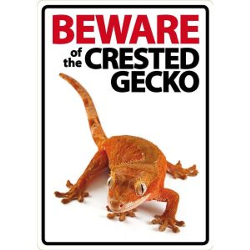BEWARE CRESTED GECKO 