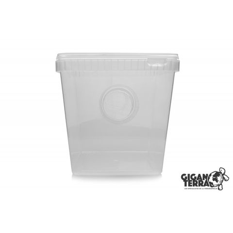 Hovedbilde Plast terrarie til insekter 15,5x15,5x19cm