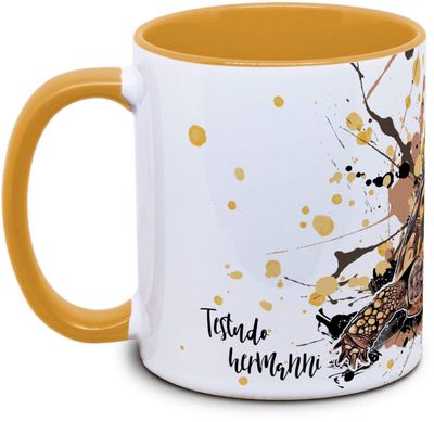 Hovedbilde KAFFEKOPP GRESK LANDSKILPADDE / TESTUDO HERMANNI