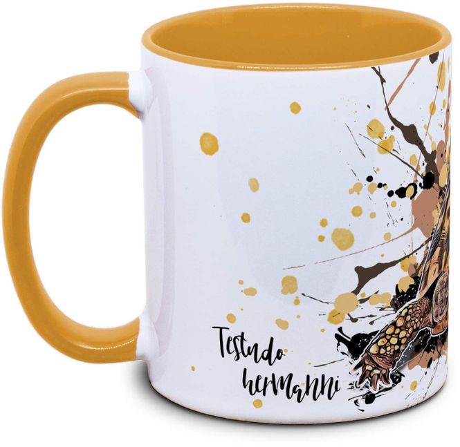 Hovedbilde KAFFEKOPP GRESK LANDSKILPADDE / TESTUDO HERMANNI
