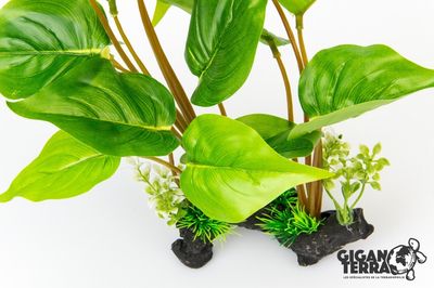 Hovedbilde Gigan terra St&aring;ende gr&oslash;nnplante 30cm - 00229