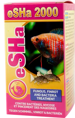 Hovedbilde eSHa 2000