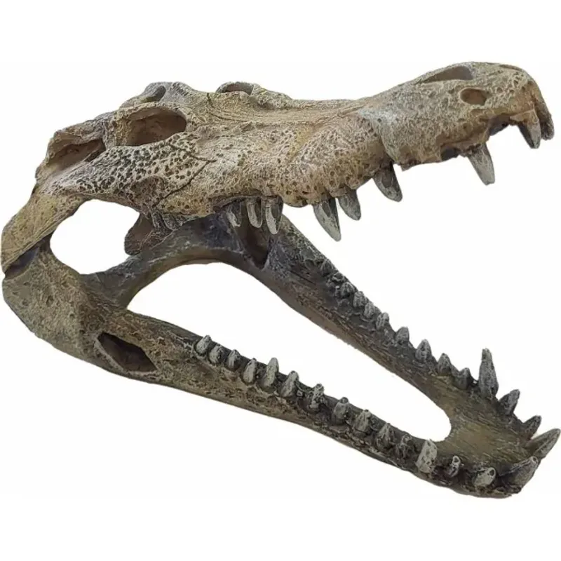 Repto deco crocodile 26x14x9 cm