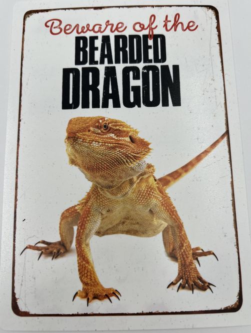 Hovedbilde Beware skjeggagam Nytt design