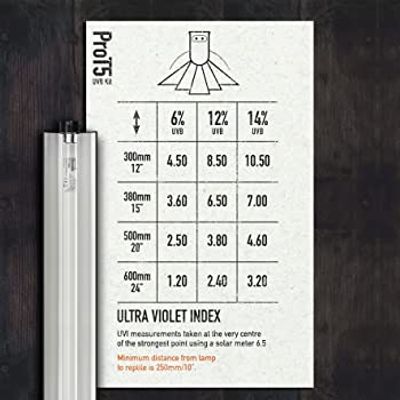 Hovedbilde Arcadia Pro T5 uvb kit 6% 24w