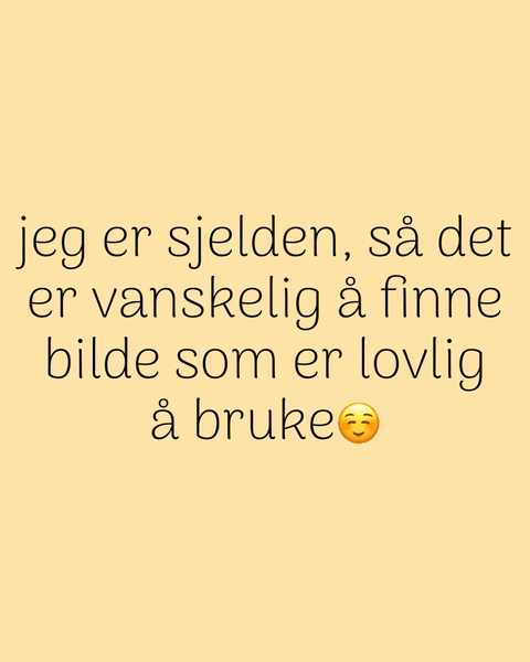 Chilobrachys sp. “Aladdin” PURPLE EARTH TIGER Sub adult Hunn