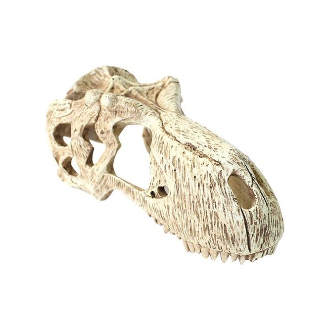 Hovedbilde Komodo T-rex L