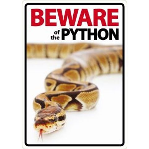 Hovedbilde BEWARE PYTON