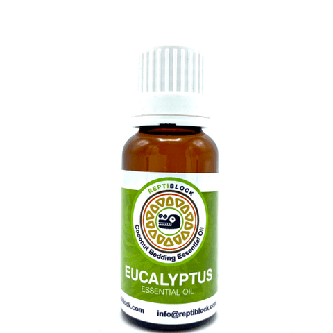 Hovedbilde Eucalyptus  3x 20ml 