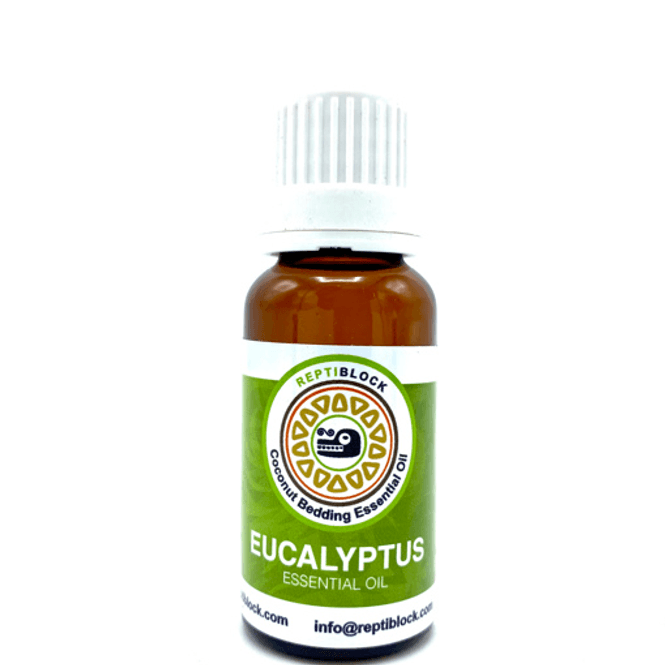 Hovedbilde Eucalyptus  3x 20ml 
