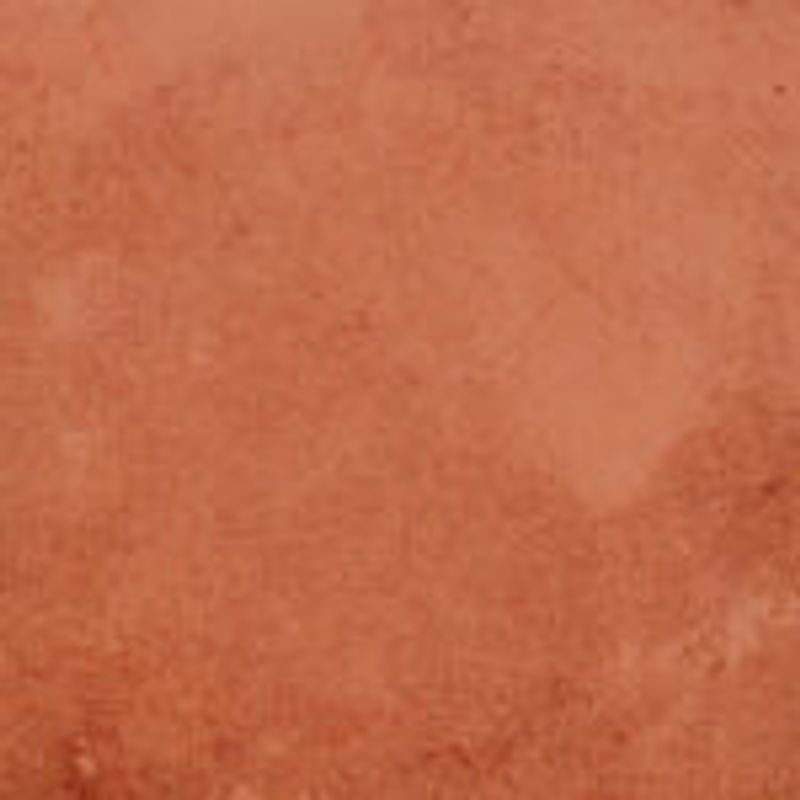 Soilico Reptileclay Red 4,5kg
