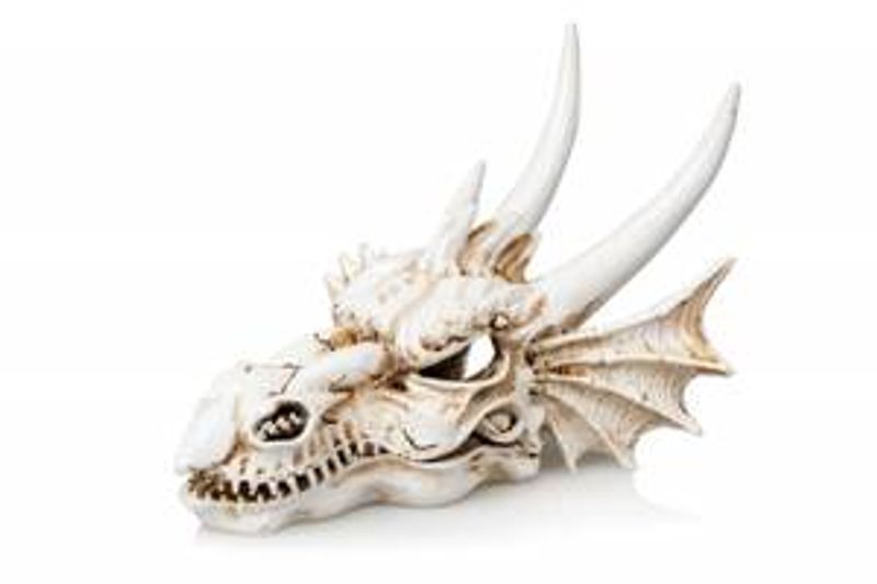 Dragon S  -00721