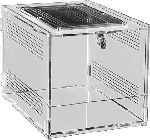 Hovedbilde Repto Terra clear 20x15x15,3cm