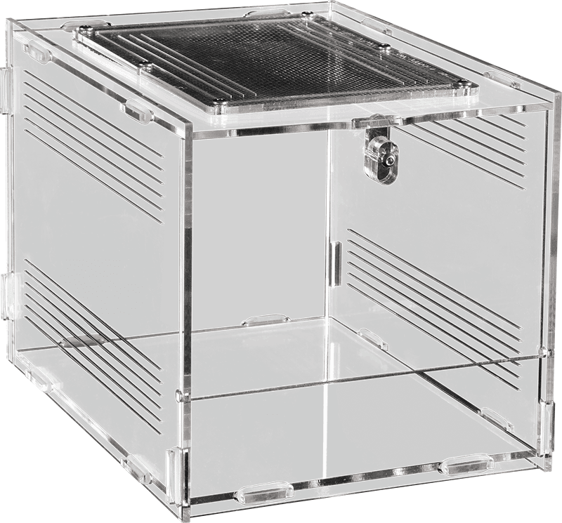 Repto Terra clear 20x15x15,3cm