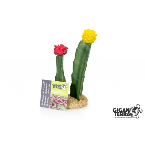 Hovedbilde Cactus rød/gul 8x6x18cm