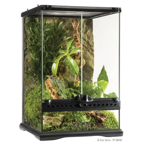 Hovedbilde Exo terra Mini Tall 20x20x30cm